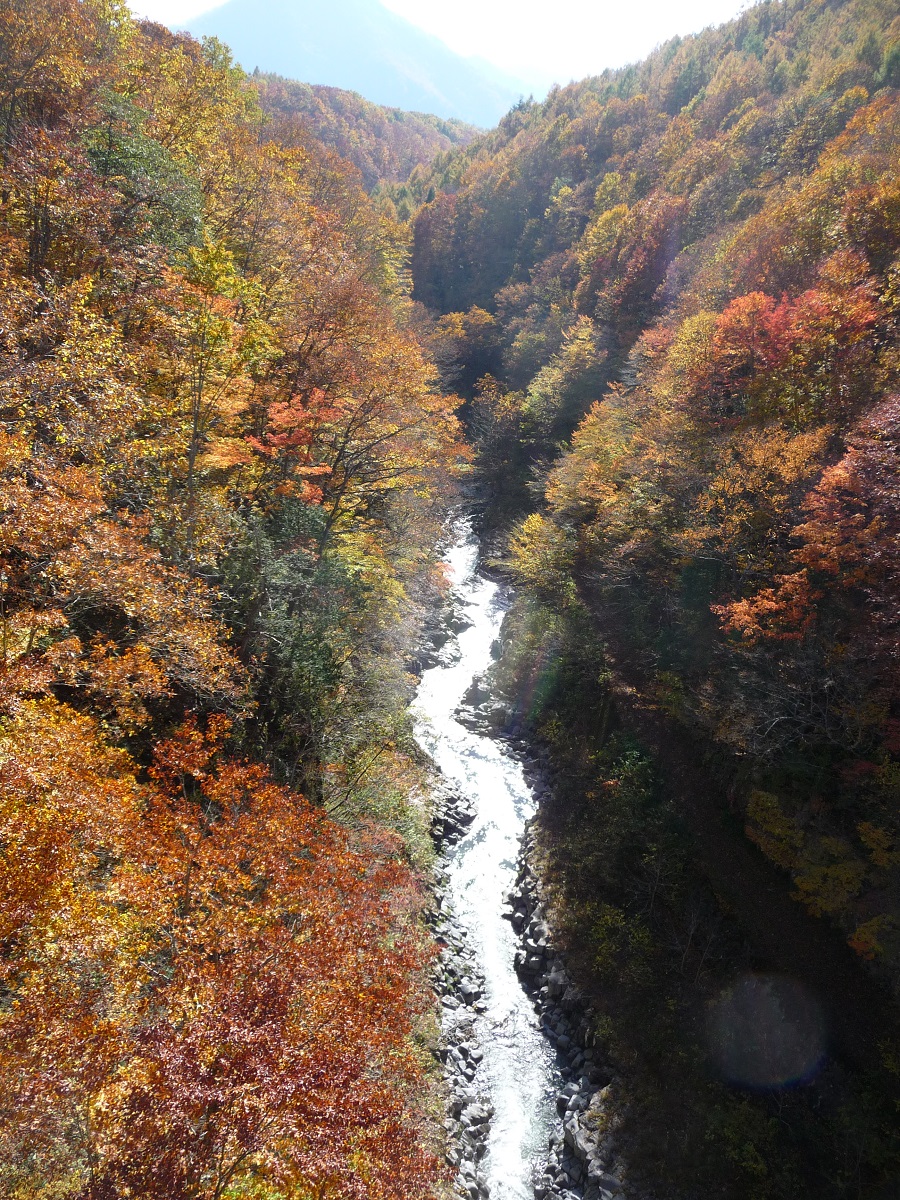 deep Nakatsugawa Valley with bright autumn leaves | Japanese ...